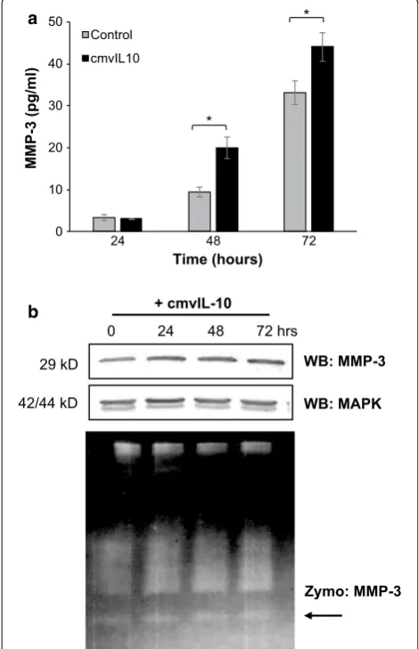 Fig. 4 MMP-3 expression and activity are increased by cmvIL-10. a MDA-MB-231 cells were cultured in the presence or absence of 10 ng/ml cmvIL-10 for the indicated times and then cell lysates were analyzed by ELISA