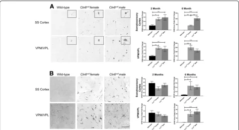 Fig. 3 Sex differences evident in Cln6nclf behavior and survival outcomes. a Female Cln6nclf mice perform more poorly at the rotarod motor taskbeginning at six months of age