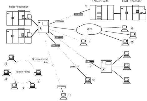 Figure 1-1 3745 In a Network 