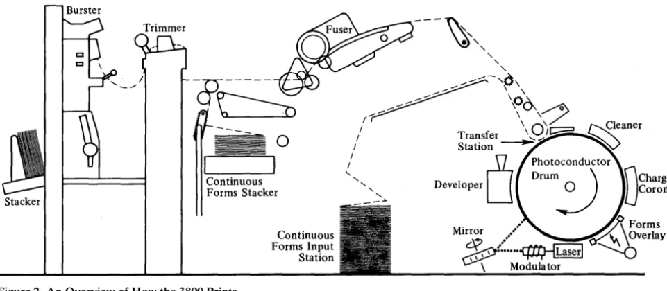 Figure 2. An Overview of How the 3800 Prints 