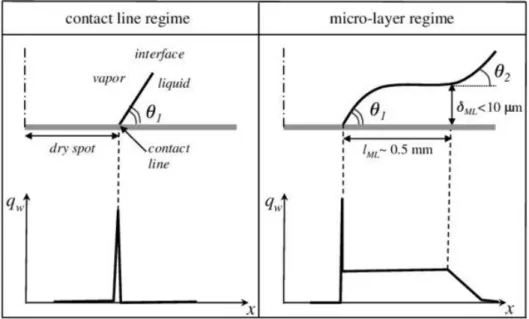 Figure 2.3 Scheme of the different nucleate boiling regimes, contact line (left) and  microlayer (right), in terms of interface shape at the bubble foot (up) and wall heat flux 