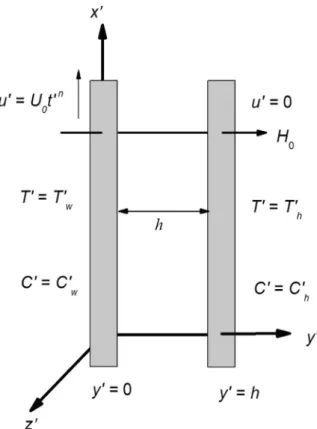 Fig. 1. Physical model in the problem.