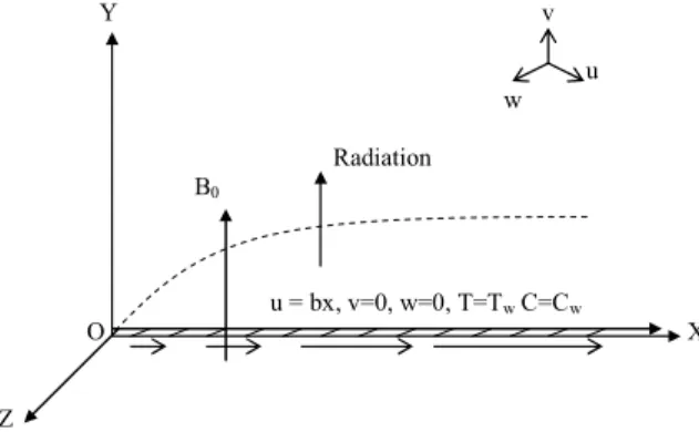 Figure 1. Physical Sketch of the Problem 