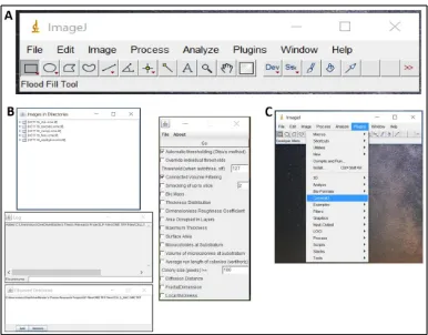 Figure 5. Screenshots of ImageJ and Comstat2 software. (a) ImageJ main window opened using 