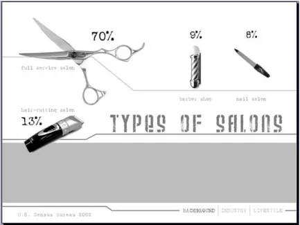 Figure 9. Example of visual format created by students (types of salons and 