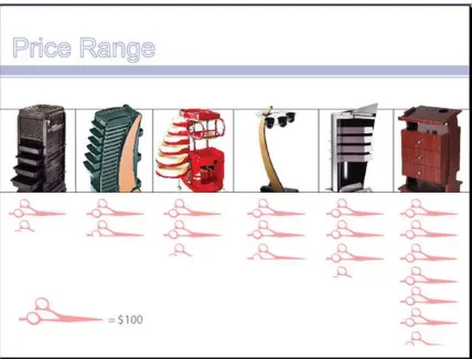 Figure 10. Example of visual format created by students (price range for different cart models) 