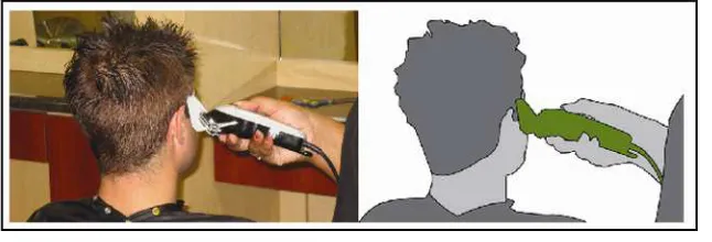 Figure 2. Use of trimmer is highlighted by using the green color 