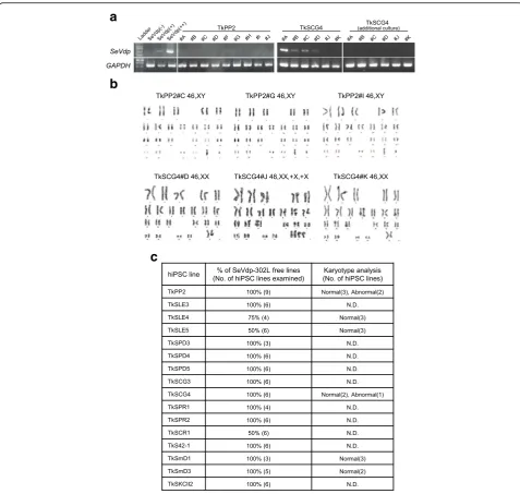 Fig. 3 Assessment of SeVdp(KOSM)-302L removal and karyotypes. a Gel images showing representative assessment results for the removal of theSeVdp(KOSM)-302L genomes obtained by RT-PCR