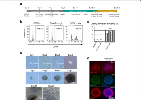 Fig. 1 Healthy donor-derived human-induced pluripotent stem cell (hiPSC) generation from non-mobilized peripheral blood (PB)-derived CD34Percentages of cells expressing CD34, as assessed by FACS analysis of non-enriched peripheral blood mononuclear cells (