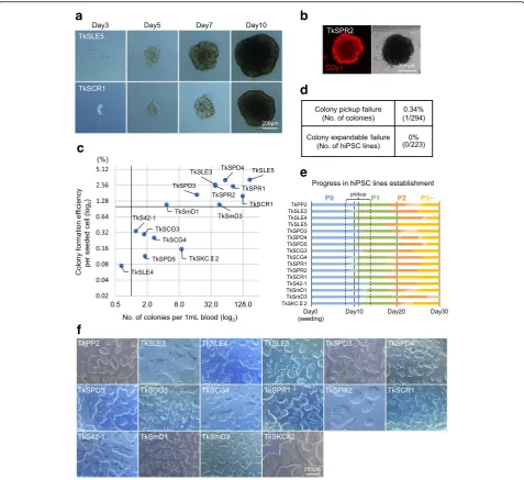 Fig. 2 Establishment of a panel of patient-derived human induced pluripotent stem cell (hiPSC) lines from non-mobilized peripheral blood-derivedthe colony pickup step (top) and in the subsequent hiPSC expansion process (bottom).hiPSC lines from the healthy