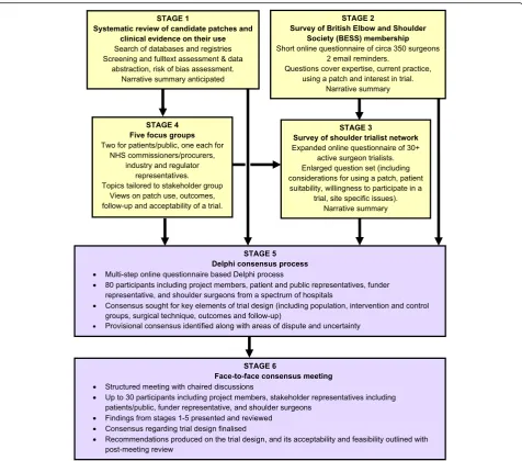 Fig. 1 Study flow chart. Patch-augmented rotator cuff repair study (PARCS)