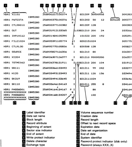 Figure 4-1. Data Set Label Listing with 80-Character Lines 
