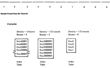 Figure 2-3. Sample Keyed Data Set Records 