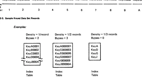 Figure 2-3. Sample Keyed Data Set Records 