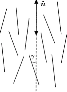 Figure 2.1: A schematic illustration of molecular axis around the average alignment direction.
