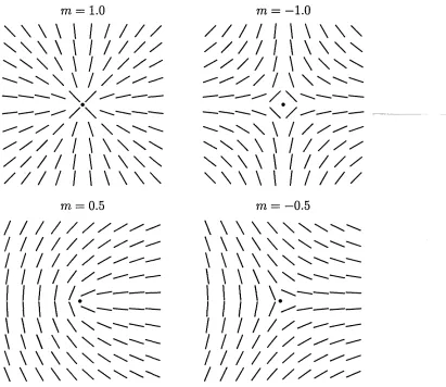 Figure 2.5: Director fields for some topological defects of different strengths m.
