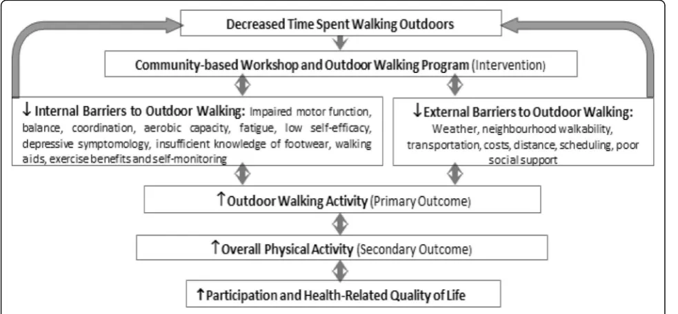 Fig. 1 Conceptual framework for the GO-OUT intervention