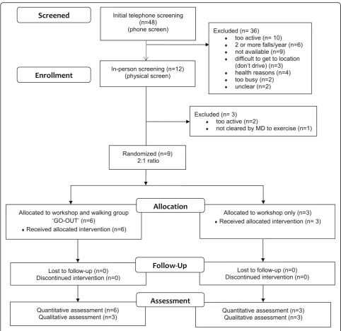 Fig. 2 CONSORT diagram—extension for pilot and feasibility trials