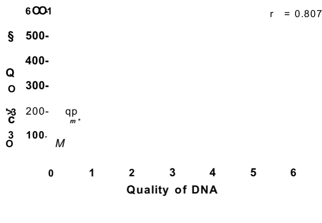 Figure 2.8- Correlation between quality and quantity of DNA