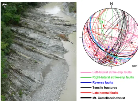 Figure 2. Outcrop view of the studied MAF layers along the banksof the Santerno stream