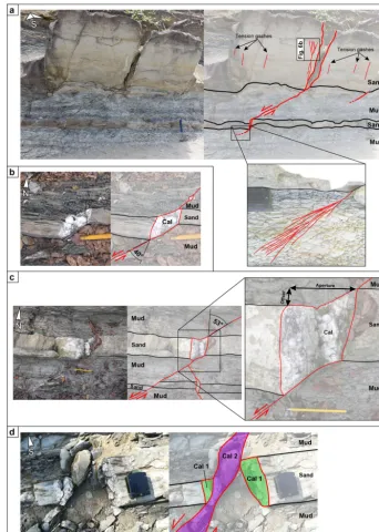 Figure 5. Field examples of refracted strike-slip faults. Almost all the photos are taken in plan view
