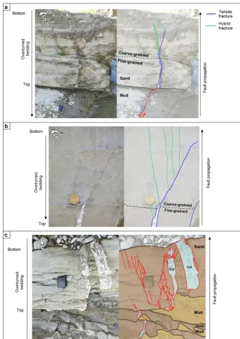 Figure 6. Field examples showing evidences of refracted faults at different stages of evolution