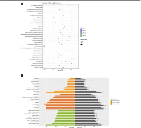 Fig. 5 Pathway and GO analysis of genes targeted by differentially expressed microRNAs