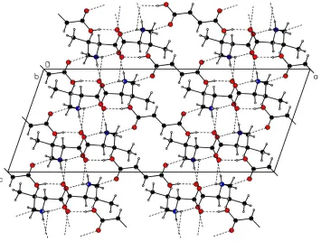 Figure 1The molecular structure of (I), with the atom-numbering scheme and ellipsoids at the 50% probability level [symmetry 