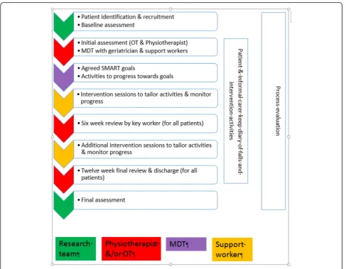 Fig. 1 Overview of the DIFRID intervention