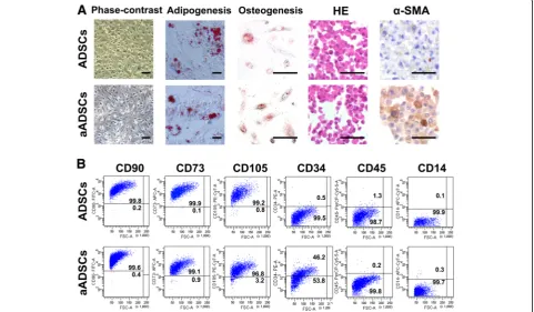 Fig. 1 Isolation and characterization of ADSCs derived from epidural adipose tissue. a Representative photomicrographs of primary epiduralADSCs cultured alone or in the presence of conditioned medium (CM) from lung cancer cells after reaching confluence at