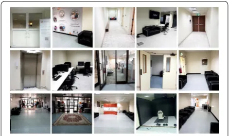 Fig. 4 Sample images from dataset