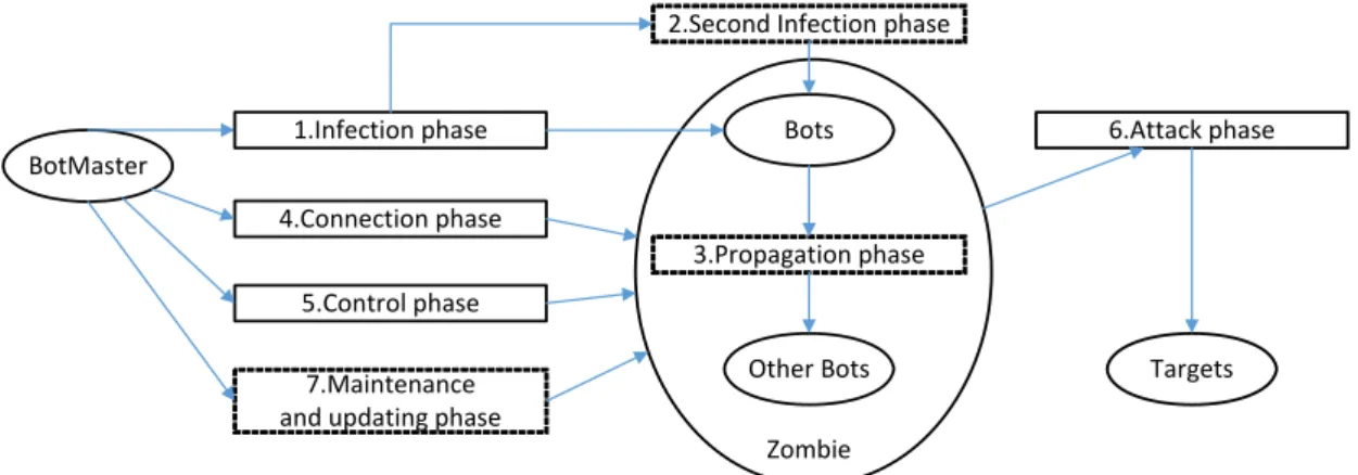 Figure 2-2 - Adapted version of botnet lifecycle 