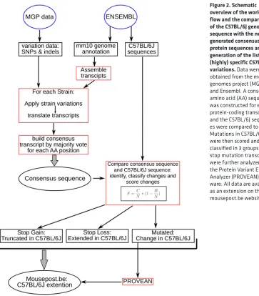 Figure 2. Schematic overview of the work flow and the comparison of the C57BL/6J genome sequence with the newly generated consensus protein sequences and the generation of the lists of (highly) specific C57BL/6J variations