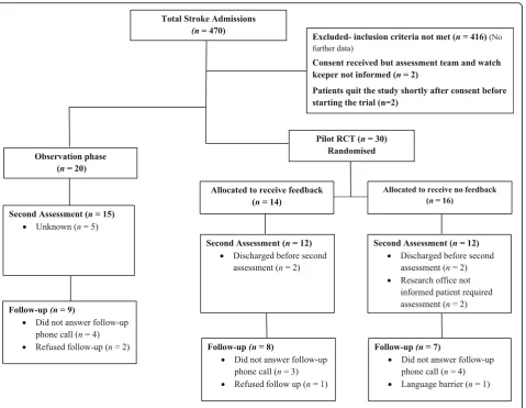 Fig. 4 Participant recruitment within the observation and the pilot randomised controlled trial (RCT) phase