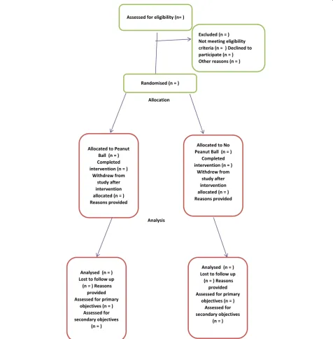 Fig. 1 Participant flow peanut ball versus no peanut ball pilot randomised controlled trial.