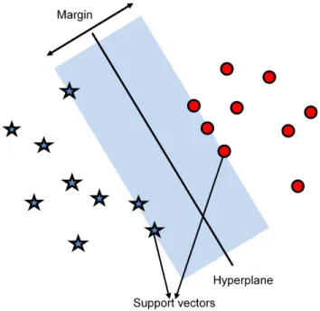 Figure 2.1: Support Vector Machine.