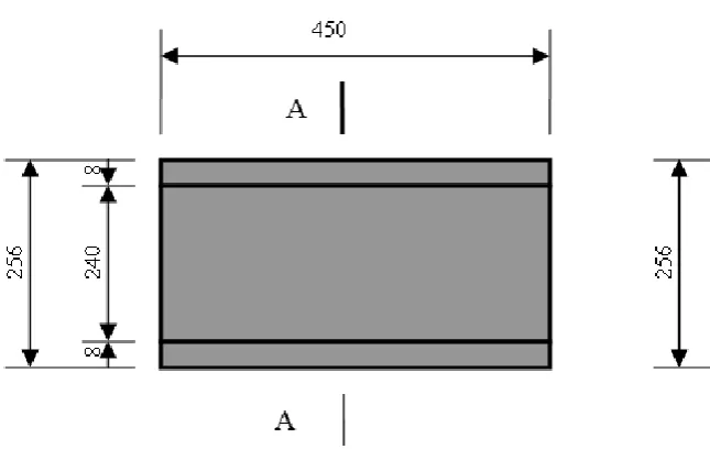 Figure 1: Steel section (unit: mm) 