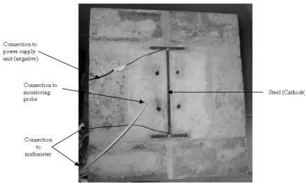 Figure 3: Test specimen - plan view of ICCP system 