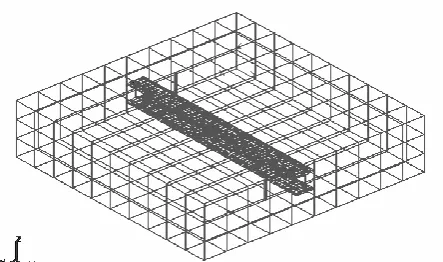 Figure 13: Schematic representation of the boundary element mesh on the surface of Steel Section B  of ICCP System B  