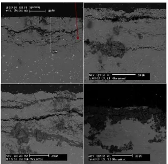 Figure 4. Corrosion propagation with diffusion.