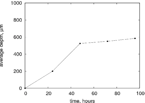 Figure 6. Time dependence of the average depth of intergranular damage in the experiment (see Figure 5).