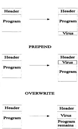Figure  2.1  shows  how  three  types  of file-infecting  virus  modify  program  files.