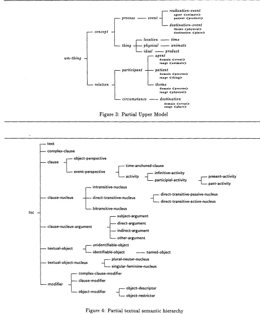 Figure 3: Partial Upper Model 