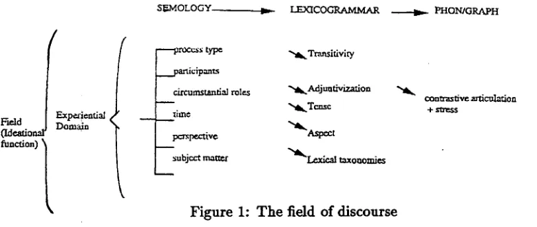 Figure 1: The field of discourse 