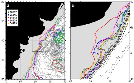 Fig. 10. Trajectories of WOCE surface drifters in the western South Atlantic. (a) All observed drifters in grey, color tracks indicate driftersexhibiting relatively sharp inshore loops near 41◦ S