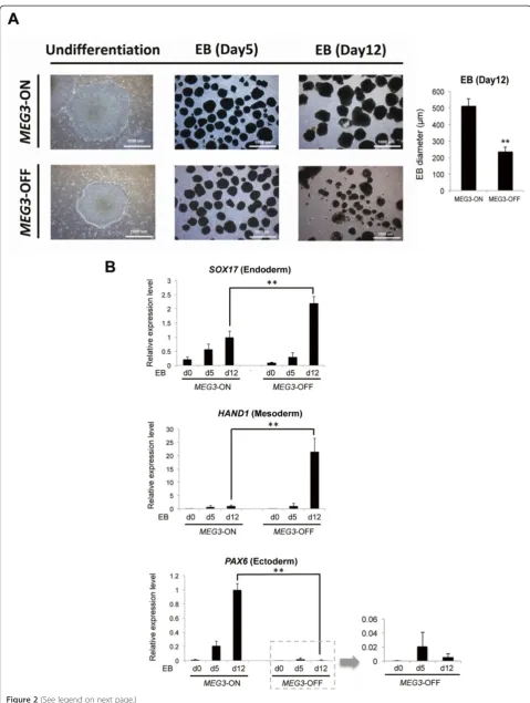 Figure 2 (See legend on next page.)