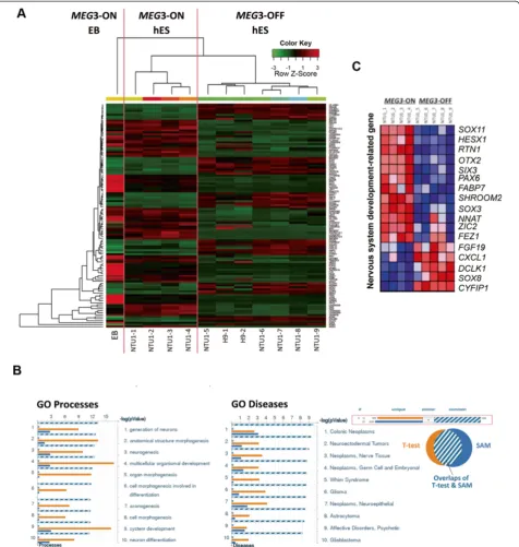 Figure 3 MEG3which range fromneural lineage development and with different tumor types
