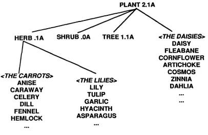Figure 1. Partial "Plant" taxonomy derived from head terms alone 