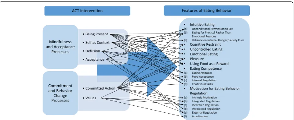 Fig. 1 Theoretical model. The hypothesized effects of the core processes of Acceptance and Commitment Therapy (ACT) on the reported features ofeating behavior