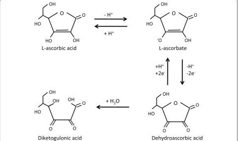 Fig. 1 Vitamin C metabolism. Ascorbic acid participates both in acid-base (ascorbic acid-ascorbate, pK 4.2) and oxidoreduction reactions (ascorbate-dehydroascorbic acid)